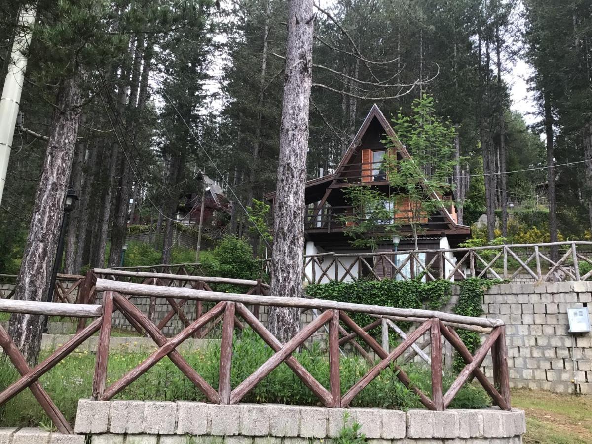 Chalet Natura Sport&Relax Cavaliere  Extérieur photo