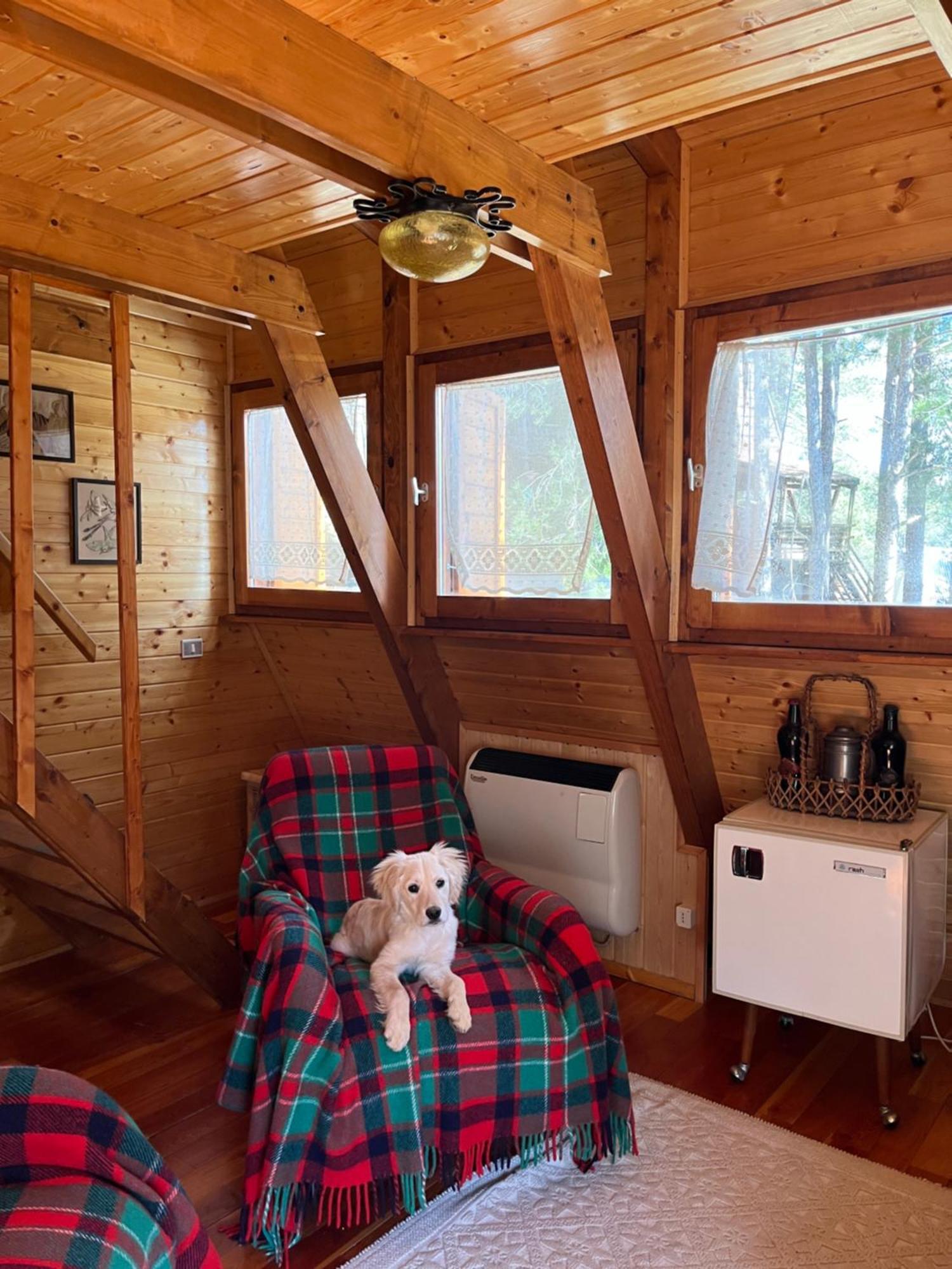Chalet Natura Sport&Relax Cavaliere  Extérieur photo